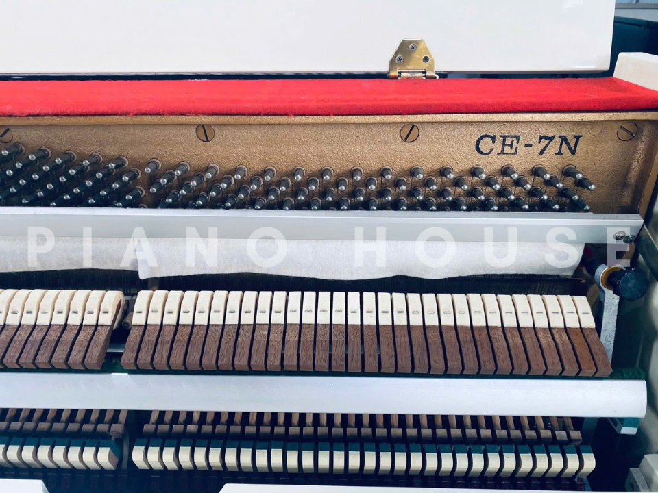 Cận cảnh KAWAI CE-7N tại Piano House